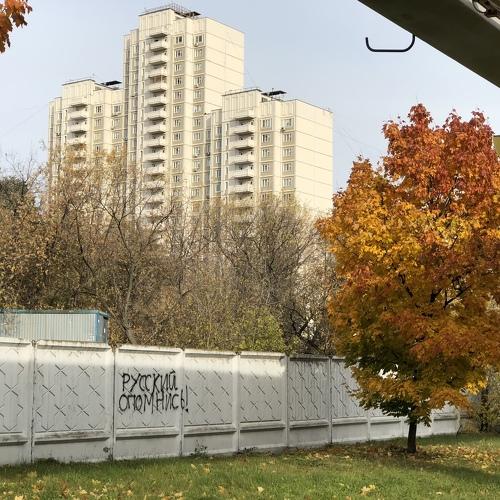Русский опомнись