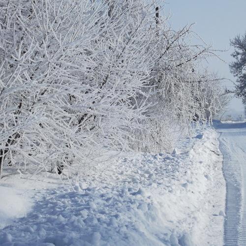 Photo #2927385