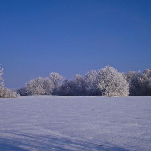 Photo #2927390