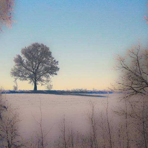 Photo #2928066