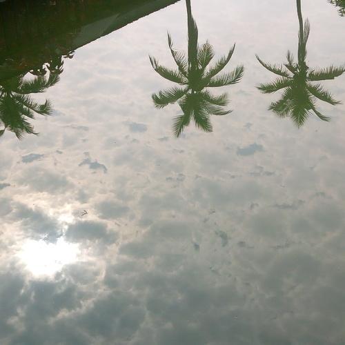 Reflection