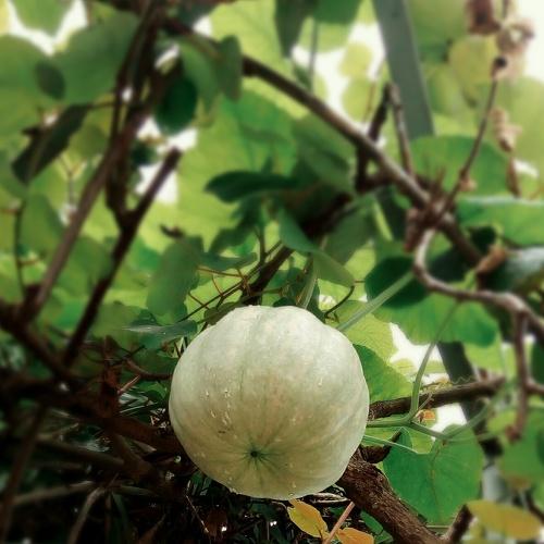 Photo #2929892
