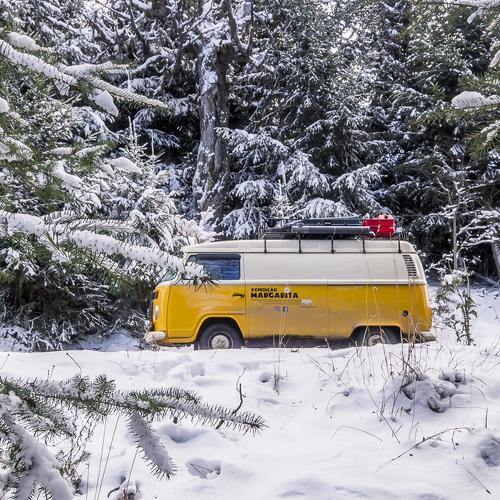 Lost in the snow