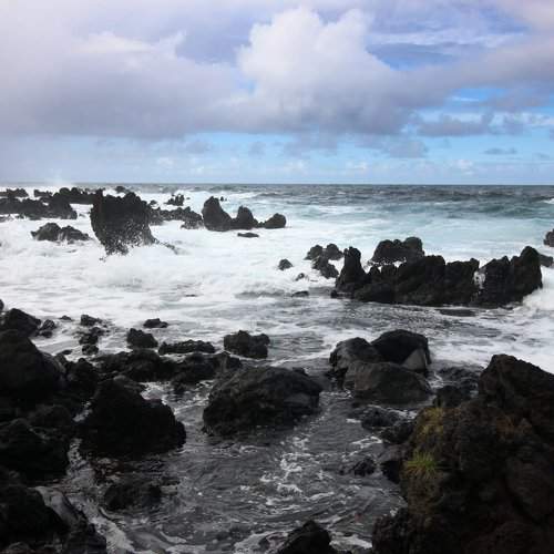 Hawaiian Rocks