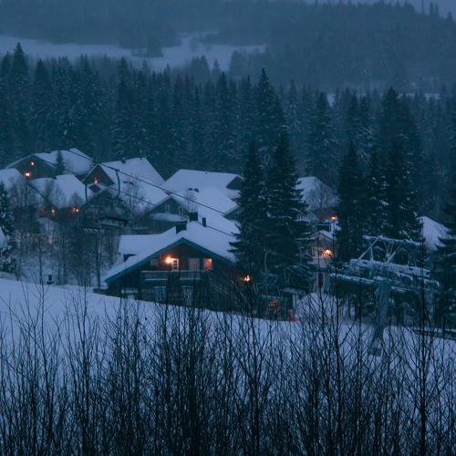 Photo #2931384