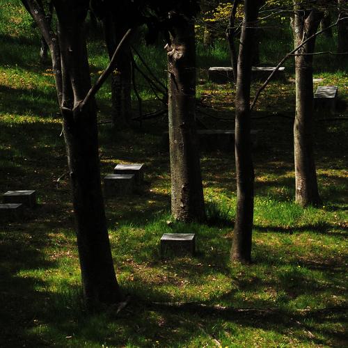 Down lights on the green ground
