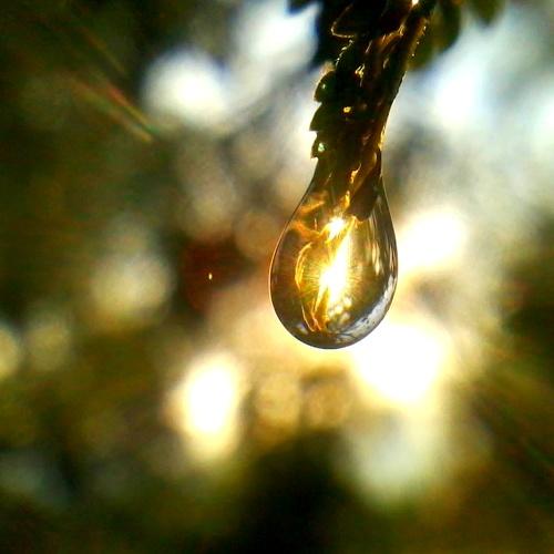 Little Light