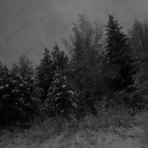 Photo #2932401
