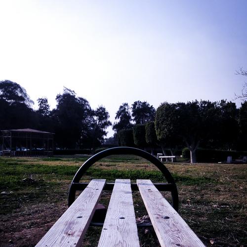 The seat