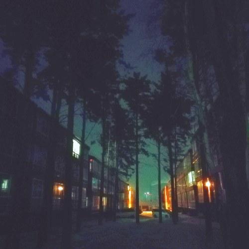 Дорога домой