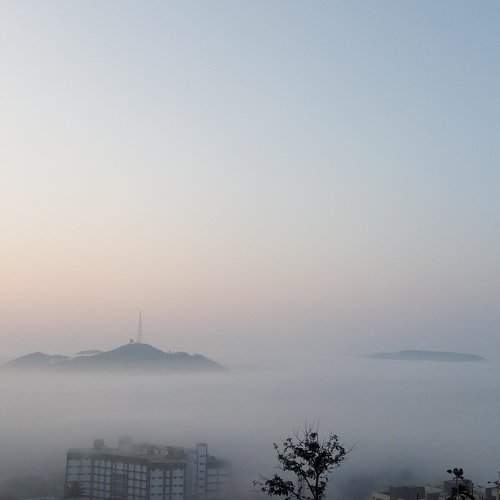 Natural landscape