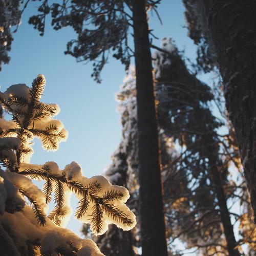 Somewhere in Narnia