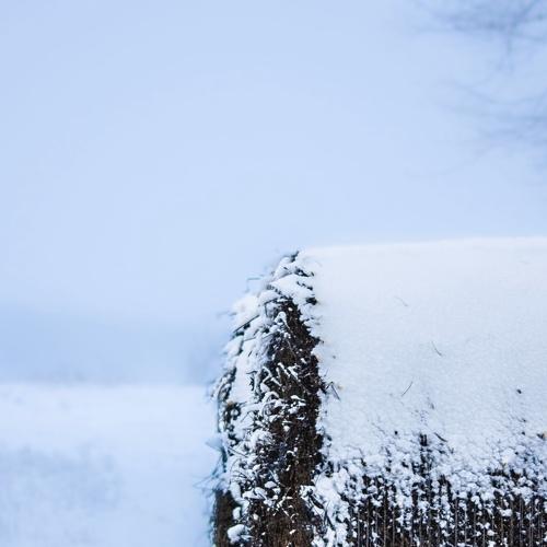 Winter Time