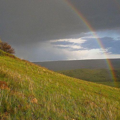 Радуга