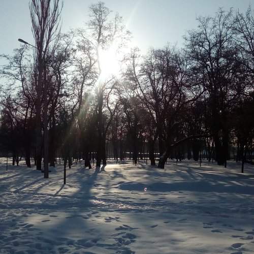 Мороз и солнце
