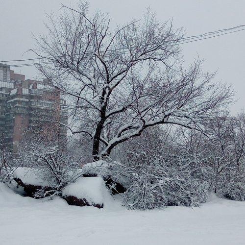 Заснежило