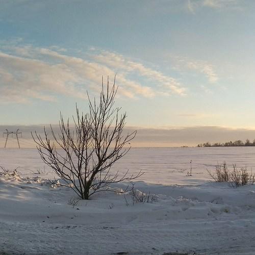 Январский закат