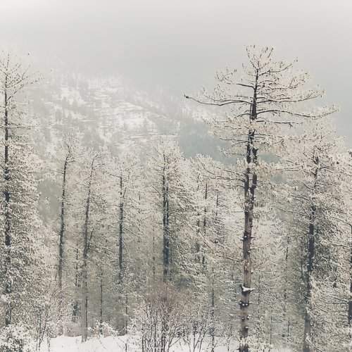 Frost-bearer