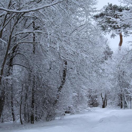 Photo #2936473