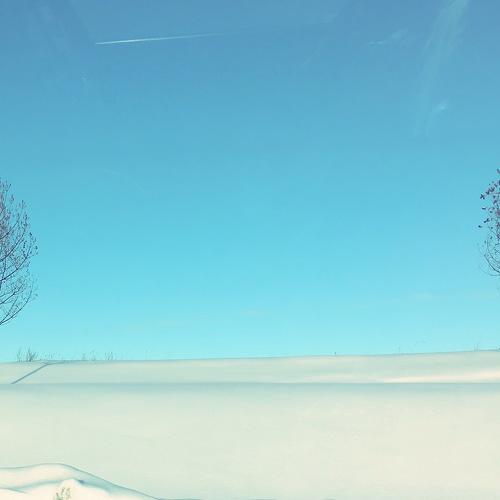 Зимний сон.