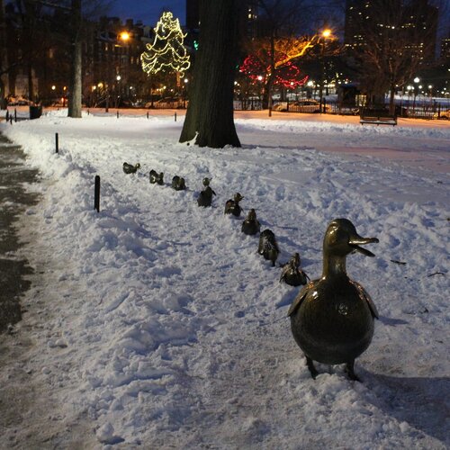 Make Way for Ducklings