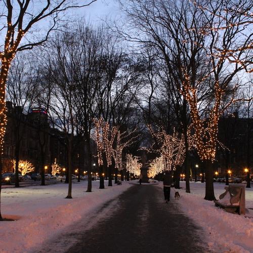 Winter Wonderland