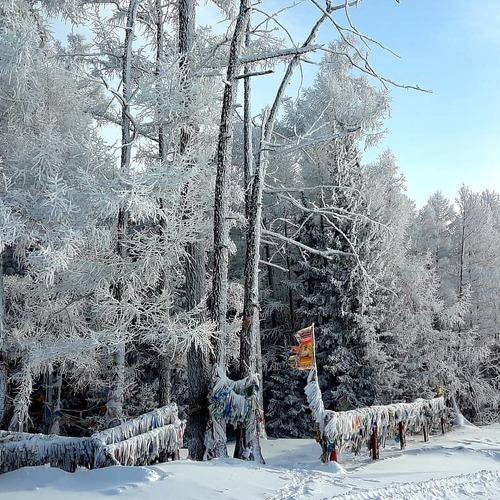 Photo #2936751