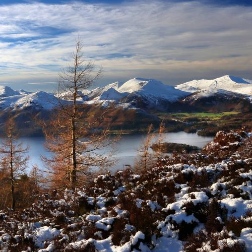 Winter Vista