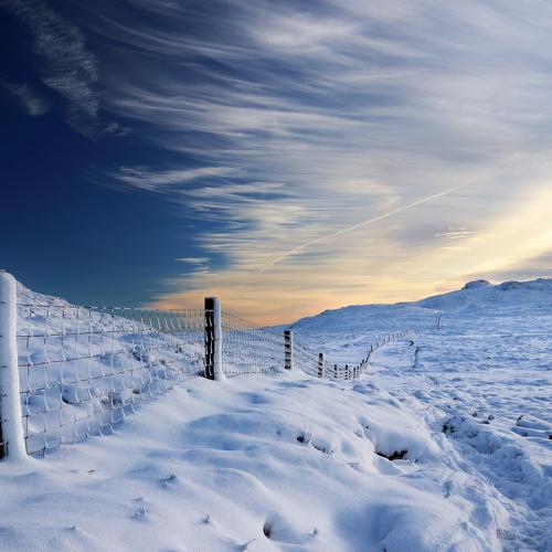 Cold fells