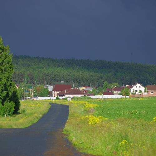 Photo #2938390