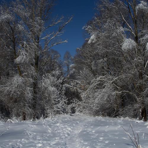 Photo #2938489