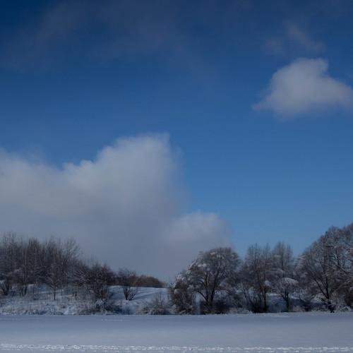 Photo #2938493