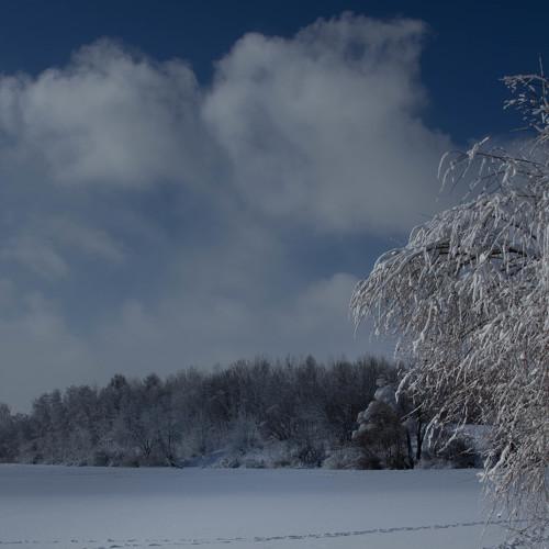 Photo #2938498