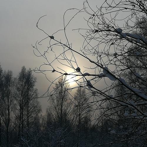 Photo #2938928