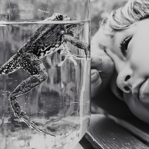 thoughts of fairy tales