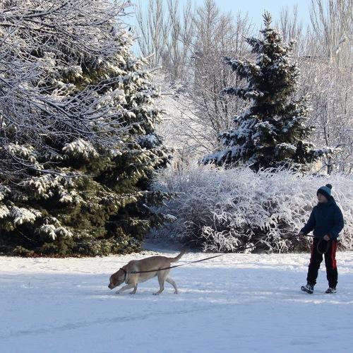 Photo #2940410