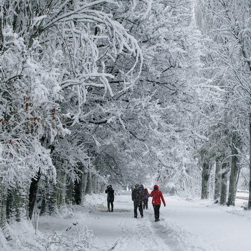 Photo #2940414