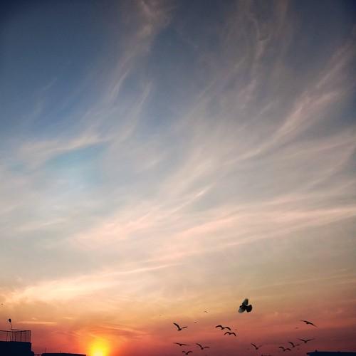 Sunset