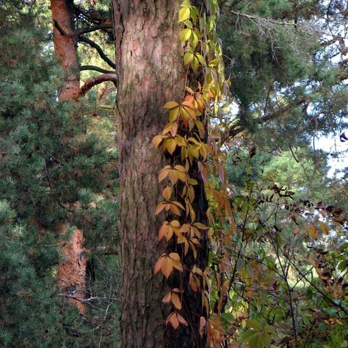 Photo #2942101