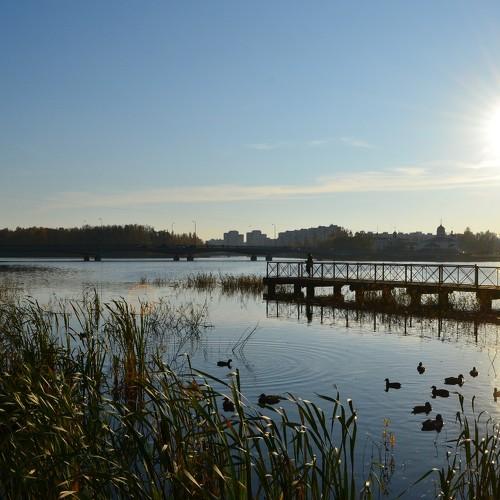 Солнце в воде