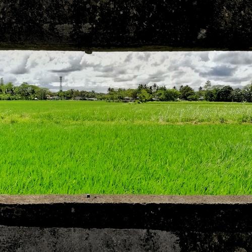 framing