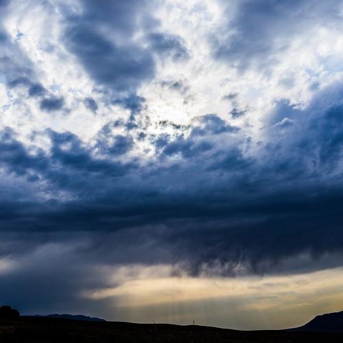 Photo #2942708