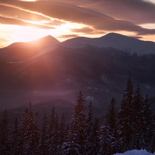 The light in the mornings landscape
