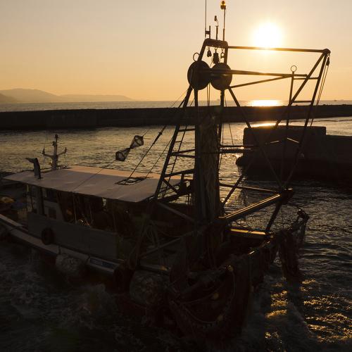 Fisherman's borts in sunset