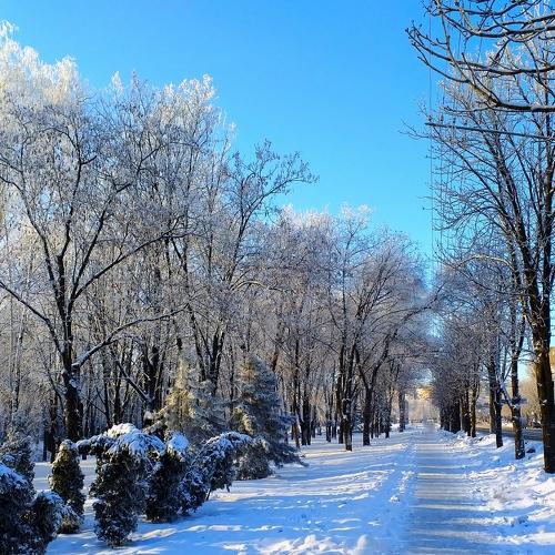 Морозное утро бывает прекрасным