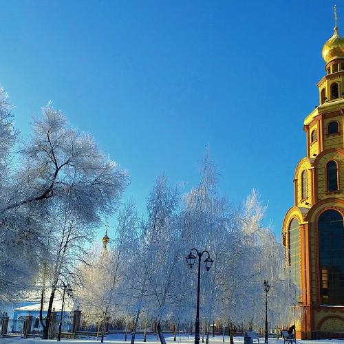 Photo #2943201