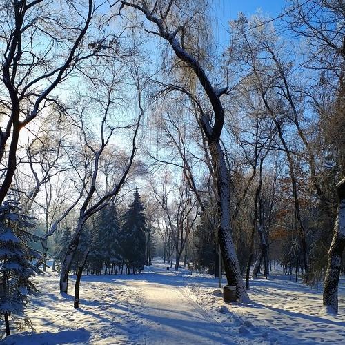 Photo #2943213