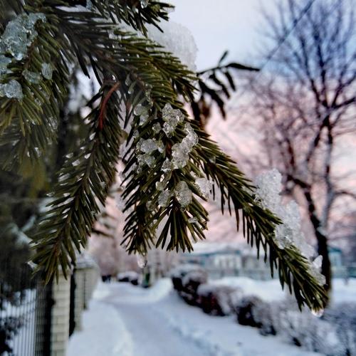 Photo #2943528