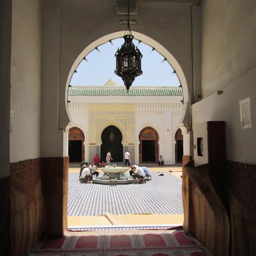 Photo #2943615