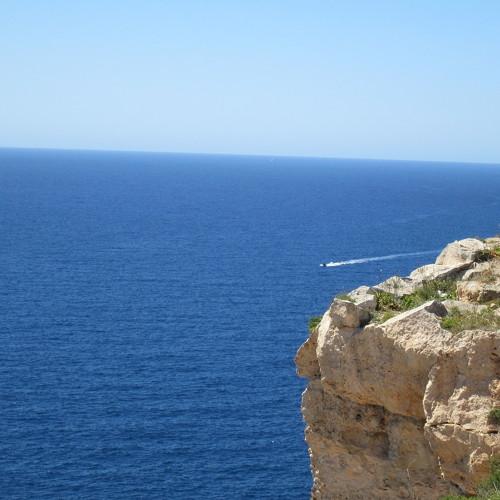 Photo #2943636